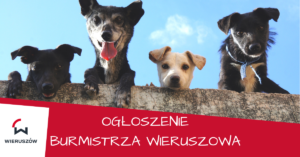 4 psy, pod spodem tekst: ogłoszenie burmistrza Wieruszowa