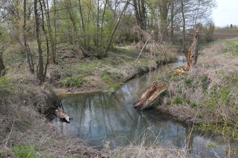 park i rzeka niesób